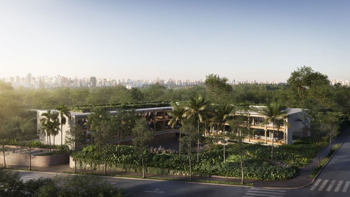 A estratégia dos jardins da Idea!Zarvos, o impacto das eleições de 2026 nos mercados e o que mais você precisa saber hoje