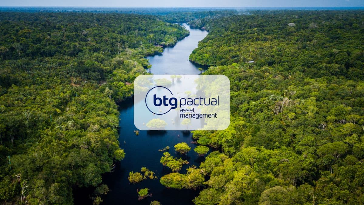 Investimento sustentável com R$ 10: BTG lança primeiro ETF que investe no desenvolvimento da Amazônia