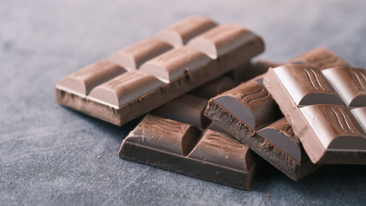 Não é “sabor chocolate”! Feira reúne marcas bean to bar no Mercado de Pinheiros; veja a programação